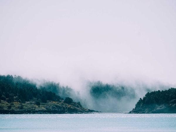 Cremation Services in Wytheville, Virginia: Costs, Providers & Options (2026)