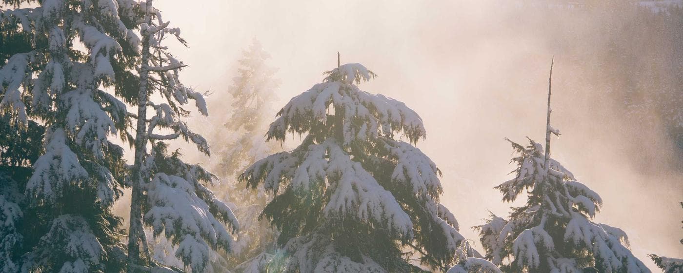 Dallas County, Texas Probate Court: A Comprehensive Guide hero image