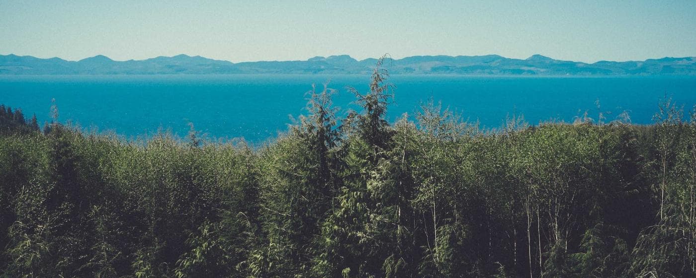 Funeral Homes in Abingdon, Virginia: Services, Costs & Reviews (2026) hero image