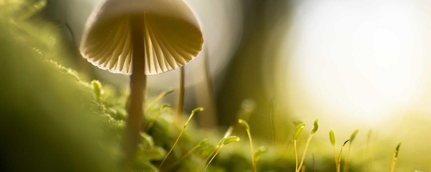 Funeral Homes in Ada, Oklahoma: Services, Costs & Reviews (2026) hero image