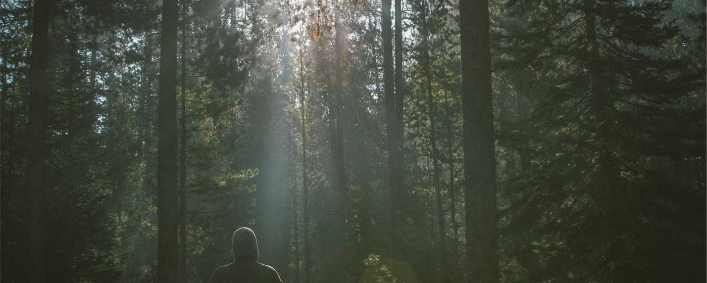 Funeral Homes in Alameda, California: Services, Costs & Reviews (2026) hero image