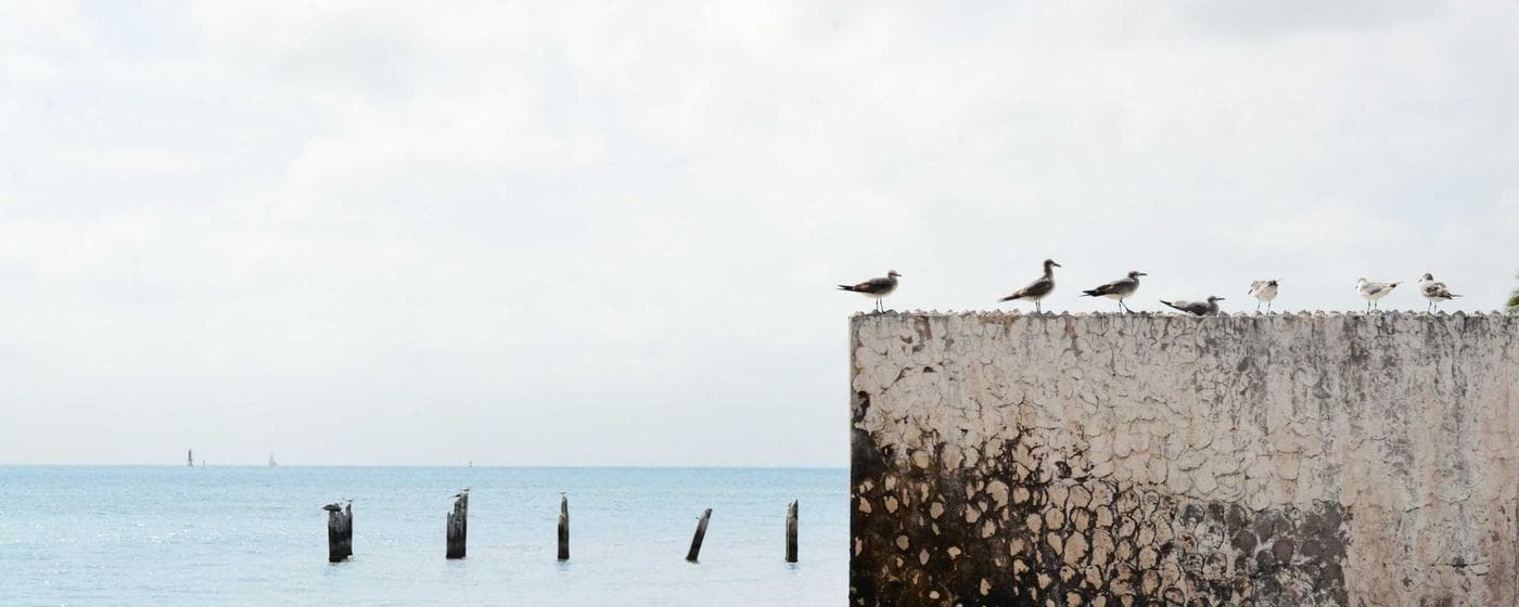 Funeral Homes in Aliquippa, Pennsylvania: Services, Costs & Reviews (2026) hero image