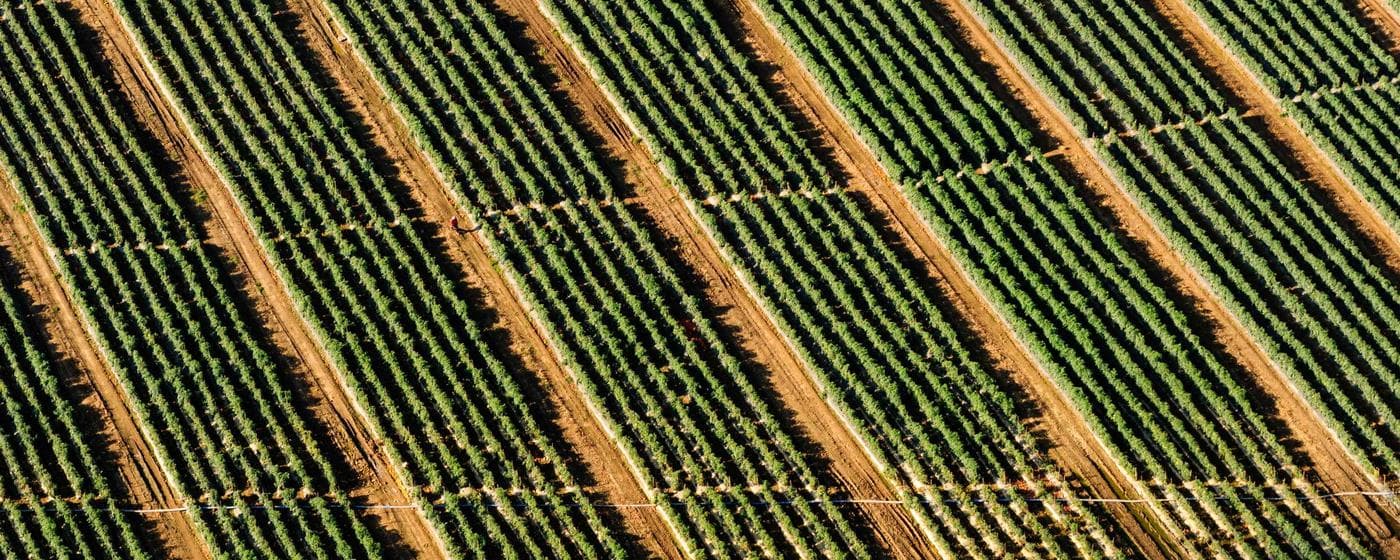 Funeral Homes in Alton, Illinois: Services, Costs & Reviews (2026) hero image