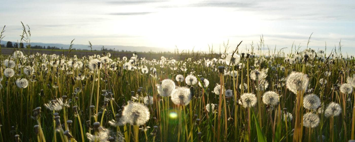 Funeral Homes in Aransas Pass, Texas: Services, Costs & Reviews (2026) hero image