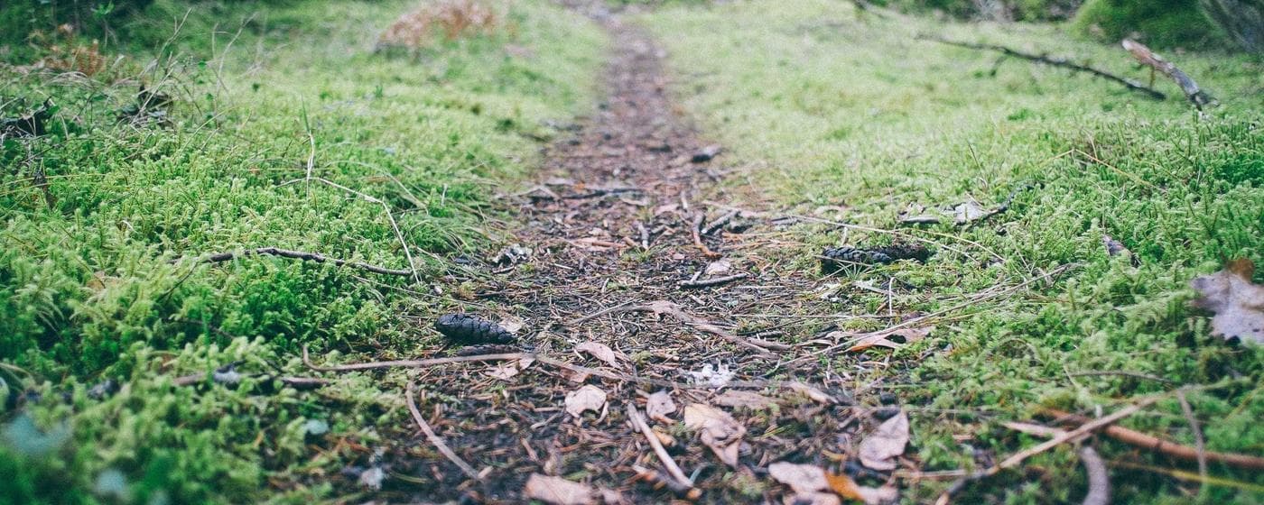 Funeral Homes in Augusta, Maine: Services, Costs & Reviews (2026) hero image