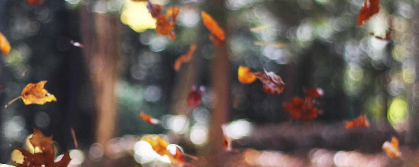 Funeral Homes in Baldwinsville, New York: Services, Costs & Reviews (2026) hero image