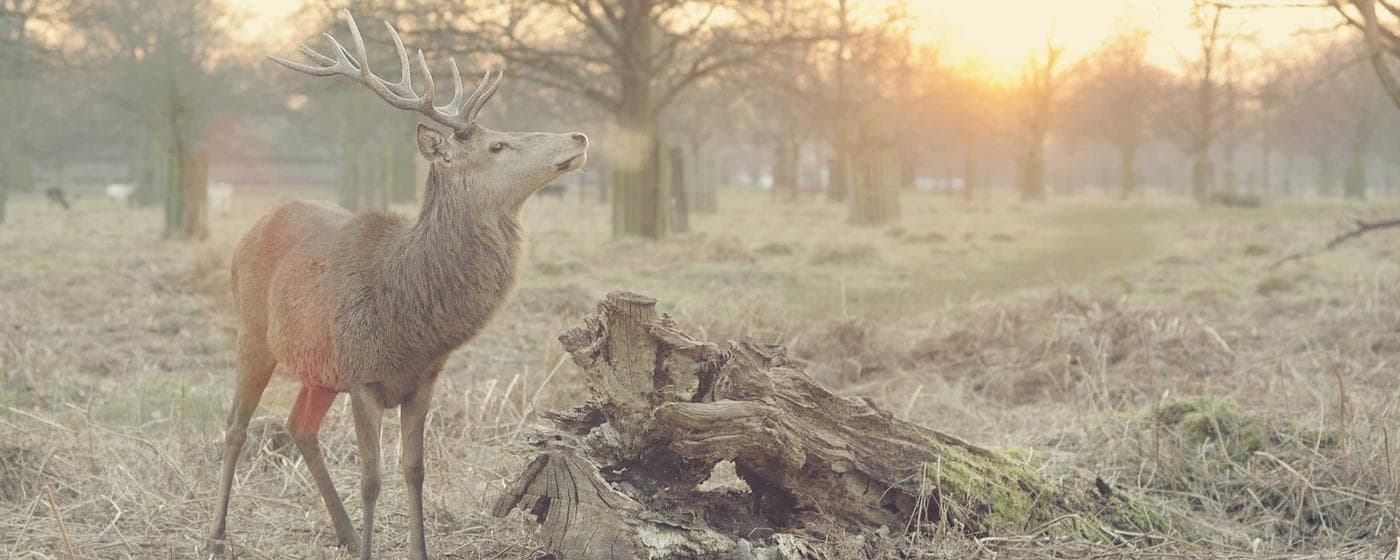 Funeral Homes in Blakely, Georgia: Services, Costs & Reviews (2026) hero image