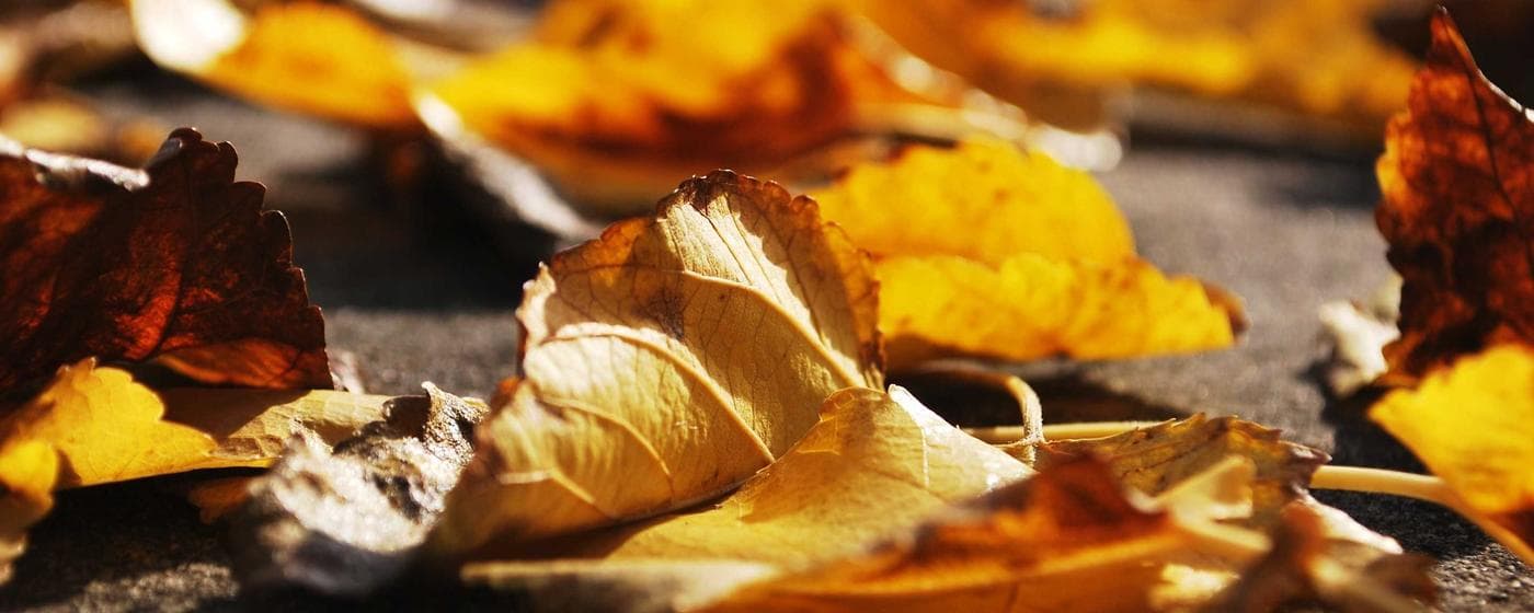 Funeral Homes in Blue Ash, Ohio: Services, Costs & Reviews (2026) hero image