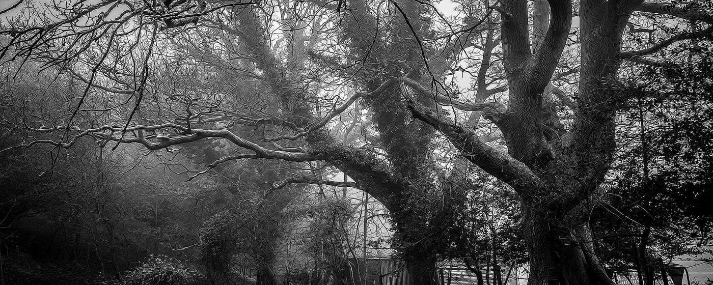 Funeral Homes in Brentwood, Tennessee: Services, Costs & Reviews (2026) hero image