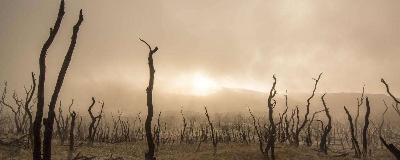 Funeral Homes in Bronx, New York: Services, Costs & Reviews (2026) hero image