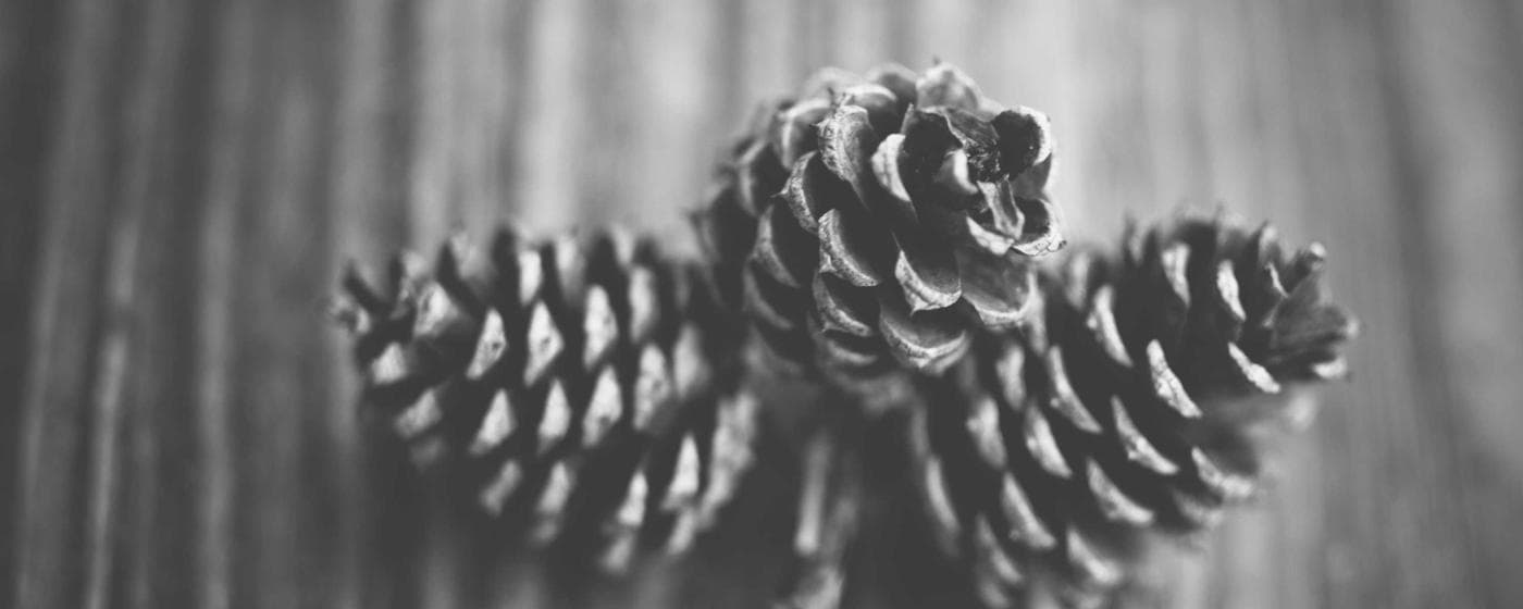 Funeral Homes in Brownwood, Texas: Services, Costs & Reviews (2026) hero image