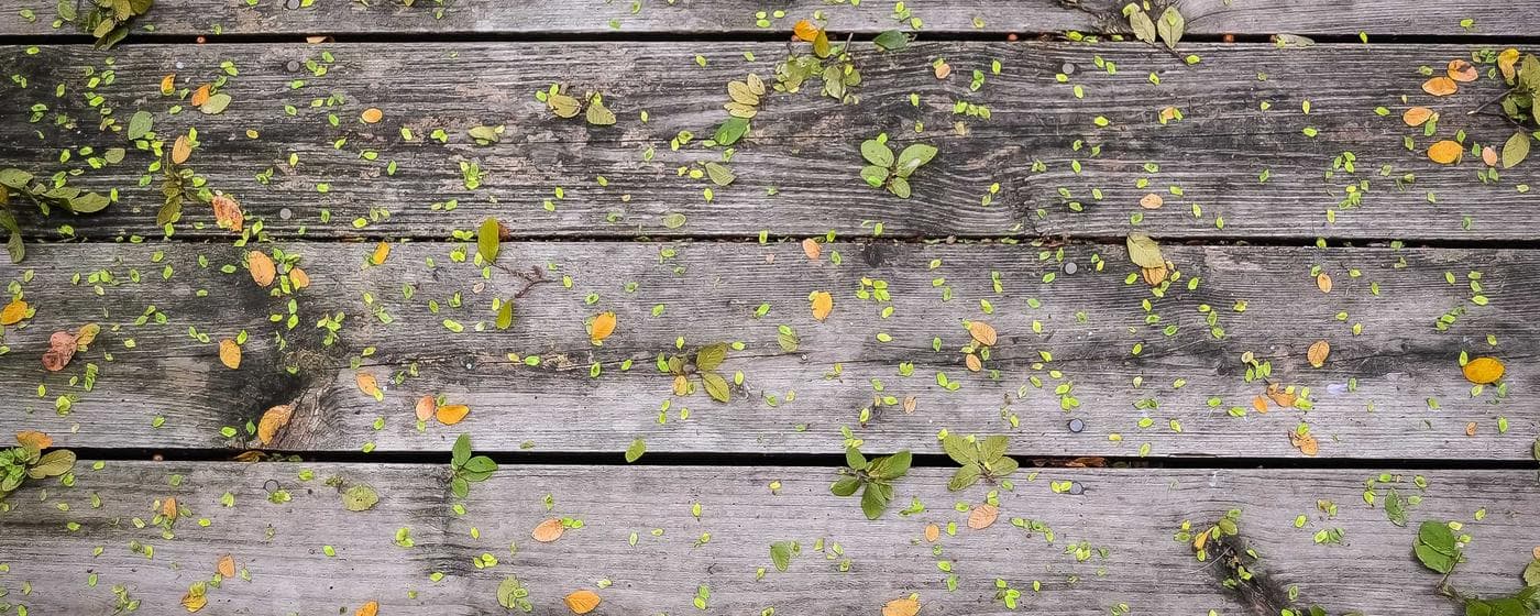 Funeral Homes in Carmi, Illinois: Services, Costs & Reviews (2026) hero image