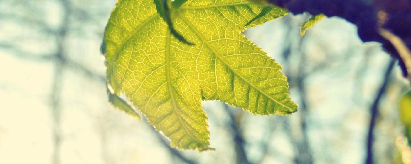 Funeral Homes in Claremore, Oklahoma: Services, Costs & Reviews (2026) hero image