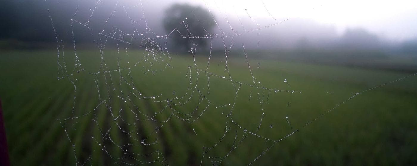 Funeral Homes in Clermont, Florida: Services, Costs & Reviews (2026) hero image