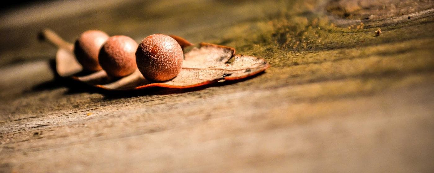 Funeral Homes in Daytona Beach, Florida: Services, Costs & Reviews (2026) hero image