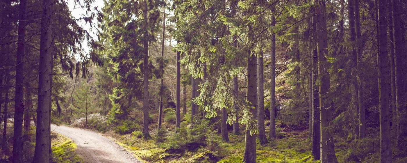 Funeral Homes in Delavan, Wisconsin: Services, Costs & Reviews (2026) hero image