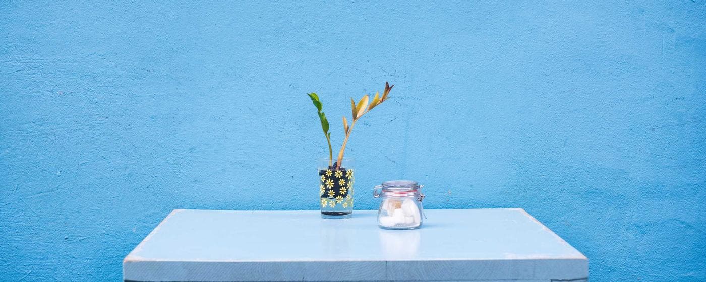 Funeral Homes in Denison, Texas: Services, Costs & Reviews (2026) hero image