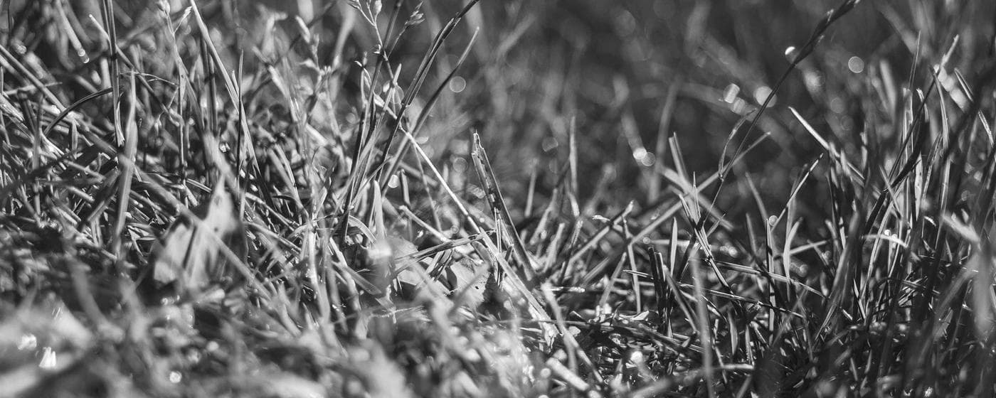 Funeral Homes in Dillon, South Carolina: Services, Costs & Reviews (2026) hero image