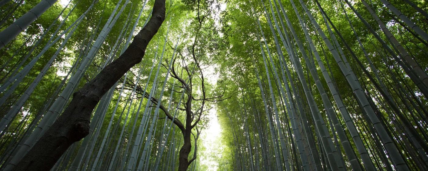 Funeral Homes in Freehold, New Jersey: Services, Costs & Reviews (2026) hero image