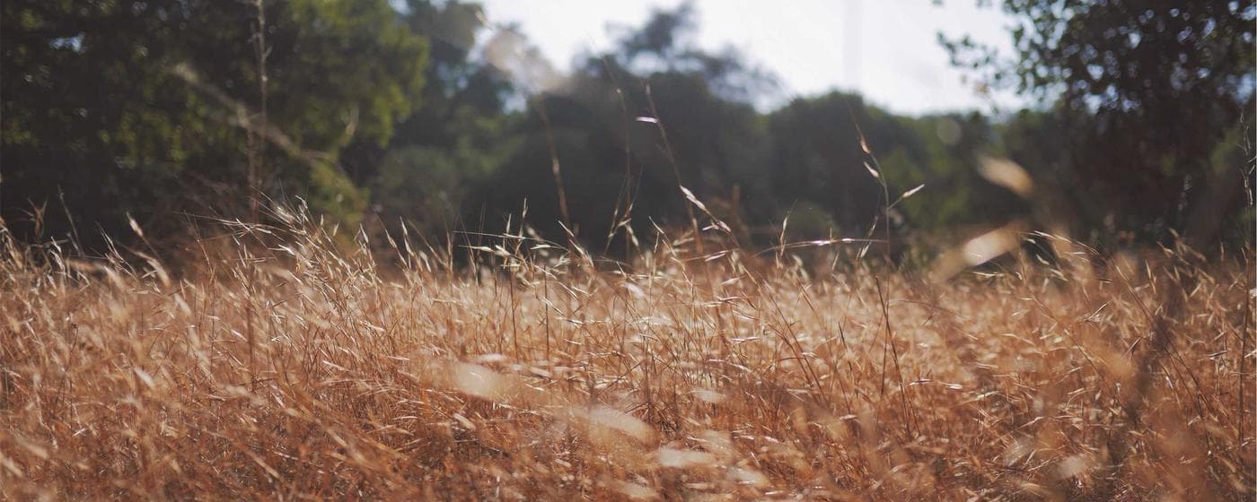 Funeral Homes in Gray, Georgia: Services, Costs & Reviews (2026) hero image