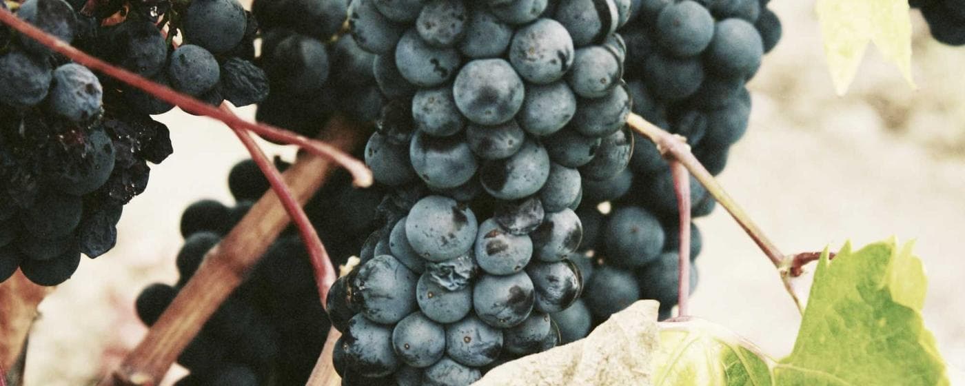 Funeral Homes in Hancock, Michigan: Services, Costs & Reviews (2026) hero image