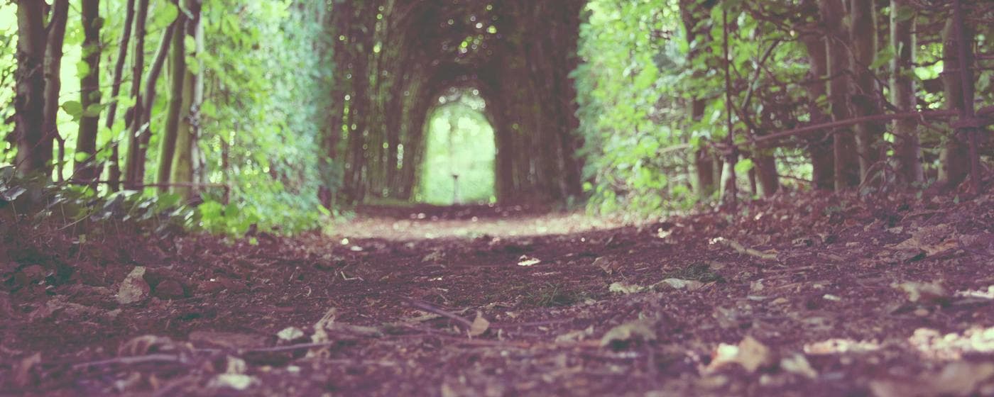 Funeral Homes in Hartsville, South Carolina: Services, Costs & Reviews (2026) hero image