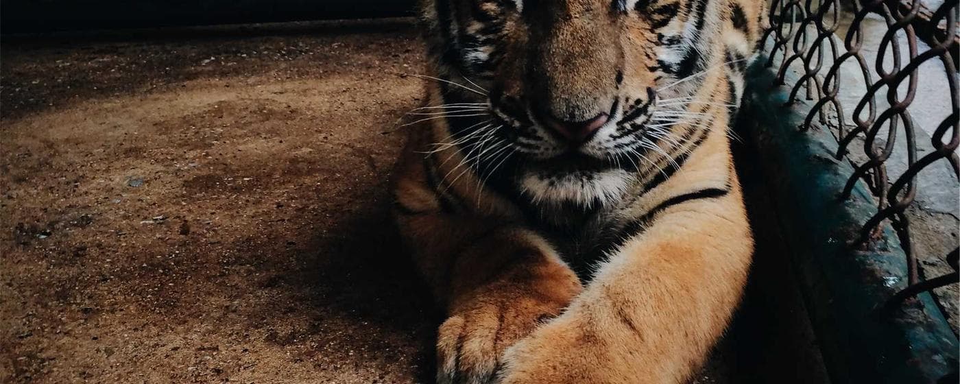 Funeral Homes in Havre De Grace, Maryland: Services, Costs & Reviews (2026) hero image