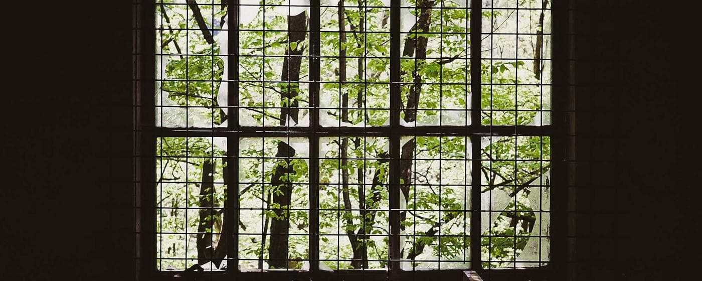 Funeral Homes in Hillsboro, Illinois: Services, Costs & Reviews (2026) hero image