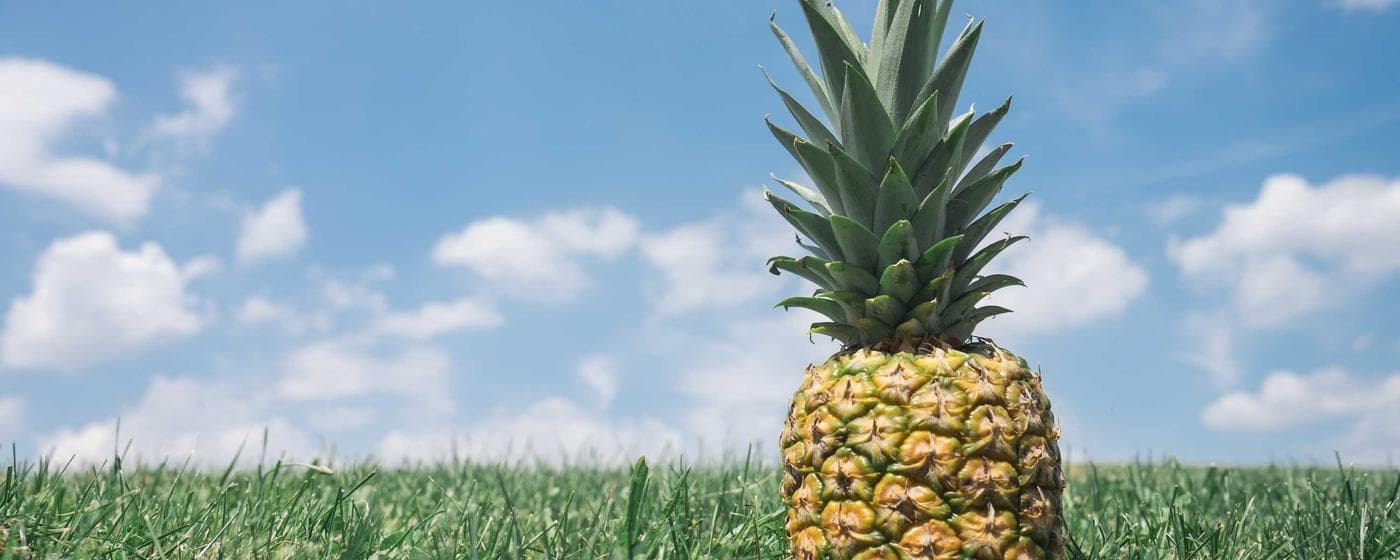 Funeral Homes in Hope Mills, North Carolina: Services, Costs & Reviews (2026) hero image