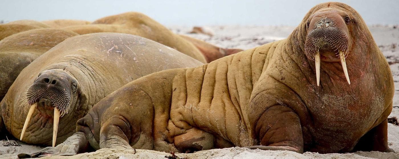 Funeral Homes in Ilion, New York: Services, Costs & Reviews (2026) hero image