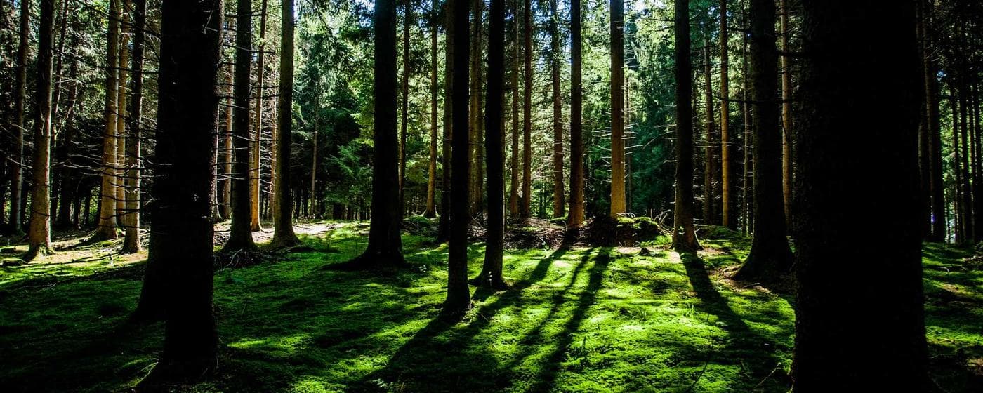 Funeral Homes in Iowa Falls, Iowa: Services, Costs & Reviews (2026) hero image