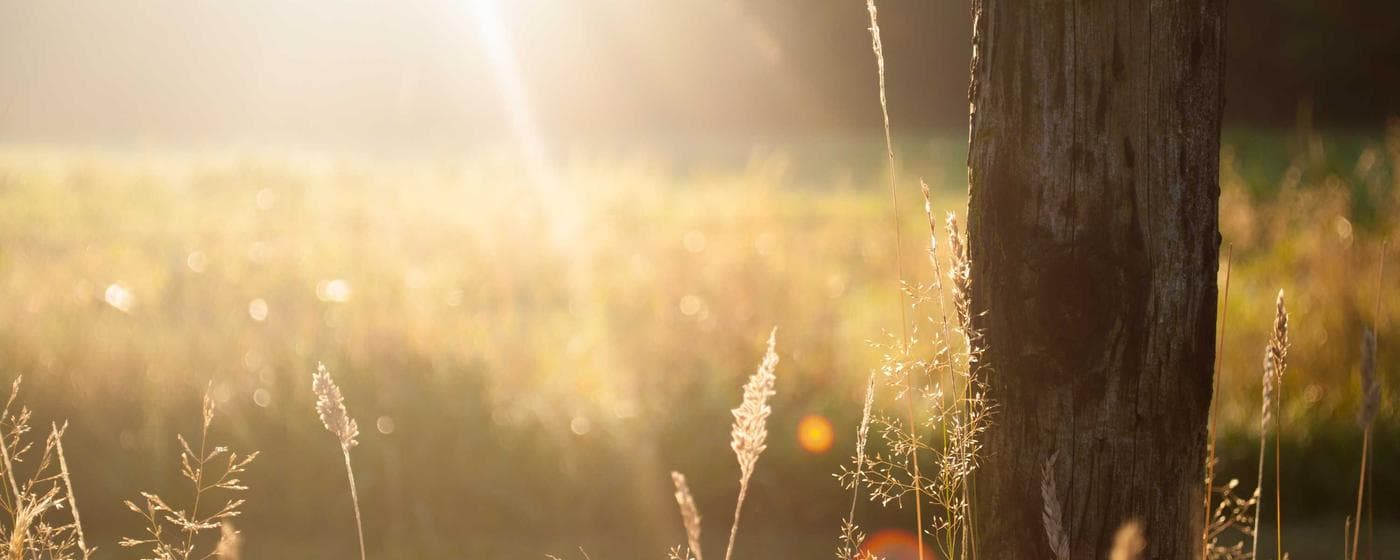 Funeral Homes in Iron Mountain, Michigan: Services, Costs & Reviews (2026) hero image