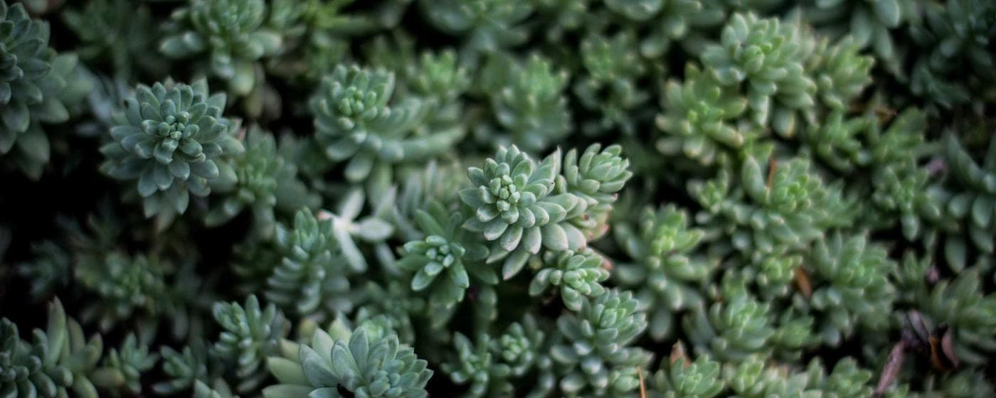 Funeral Homes in Jacksonville, Florida: Services, Costs & Reviews (2026) hero image