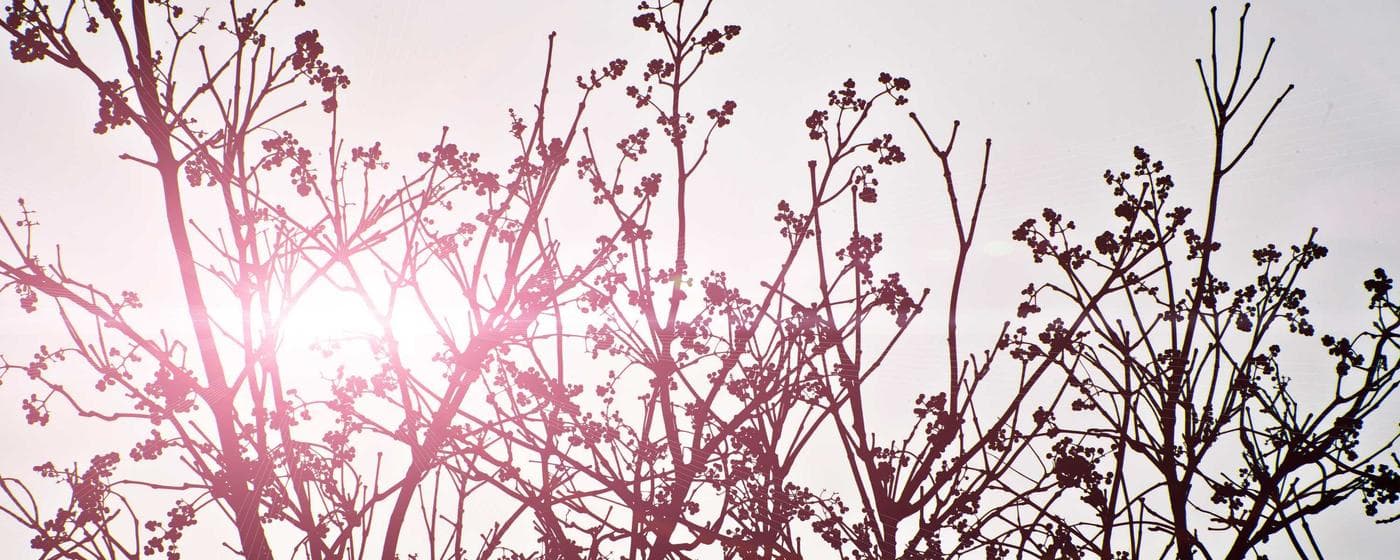 Funeral Homes in Joliet, Illinois: Services, Costs & Reviews (2026) hero image