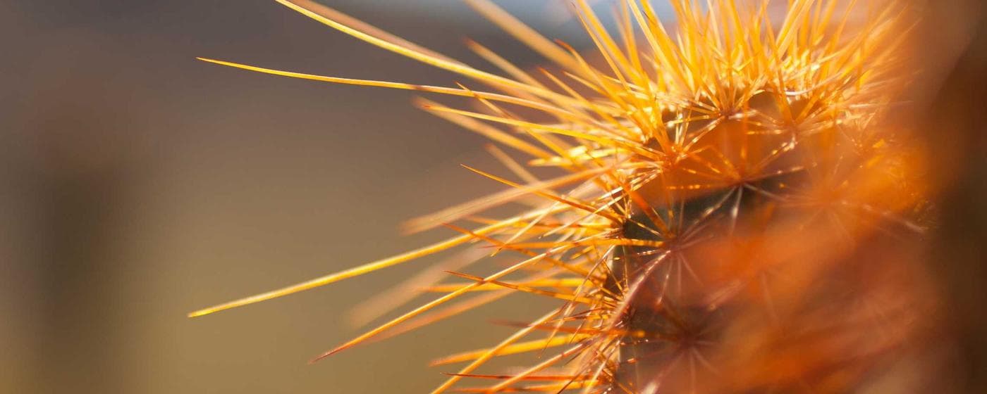 Funeral Homes in Key West, Florida: Services, Costs & Reviews (2026) hero image