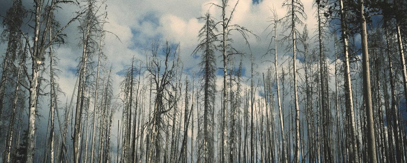 Funeral Homes in Lakewood, Colorado: Services, Costs & Reviews (2026) hero image