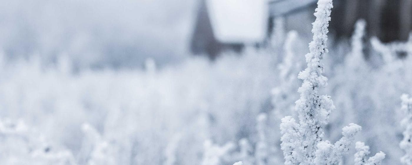 Funeral Homes in Louisville, Kentucky: Services, Costs & Reviews (2026) hero image