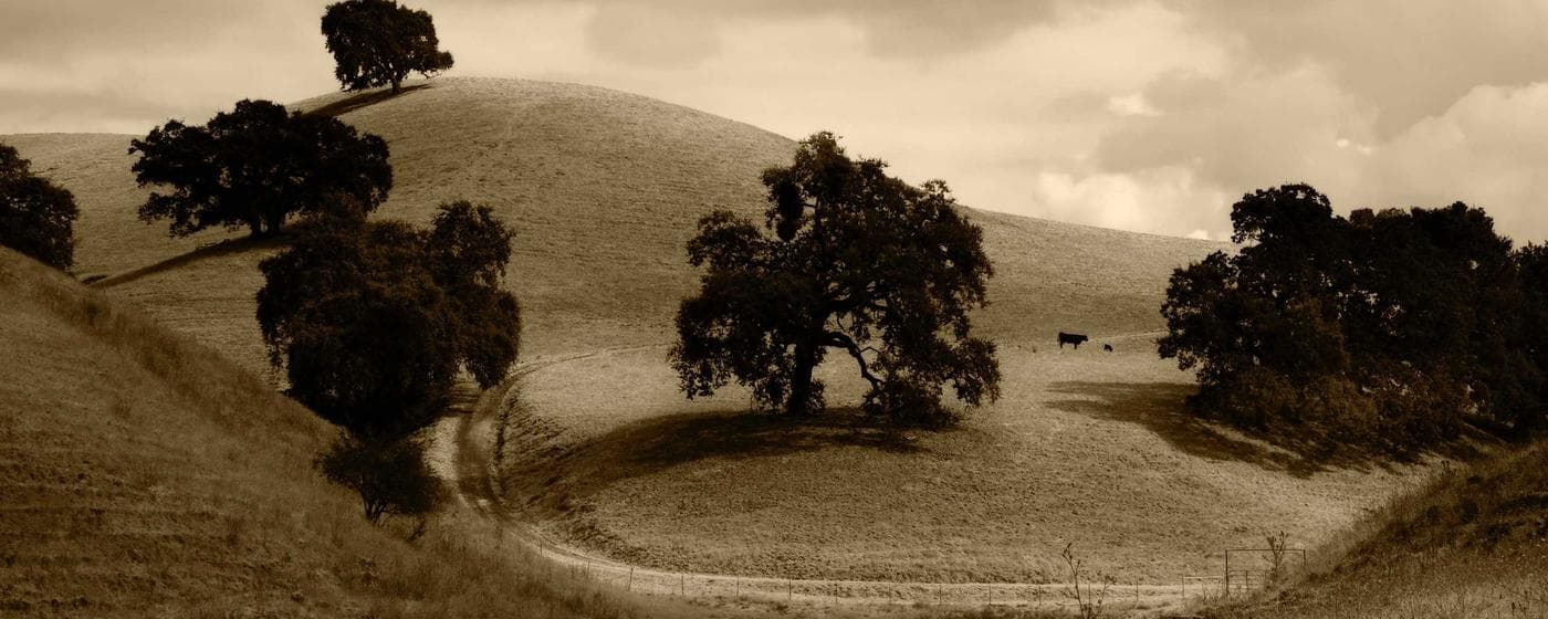 Funeral Homes in Macclenny, Florida: Services, Costs & Reviews (2026) hero image