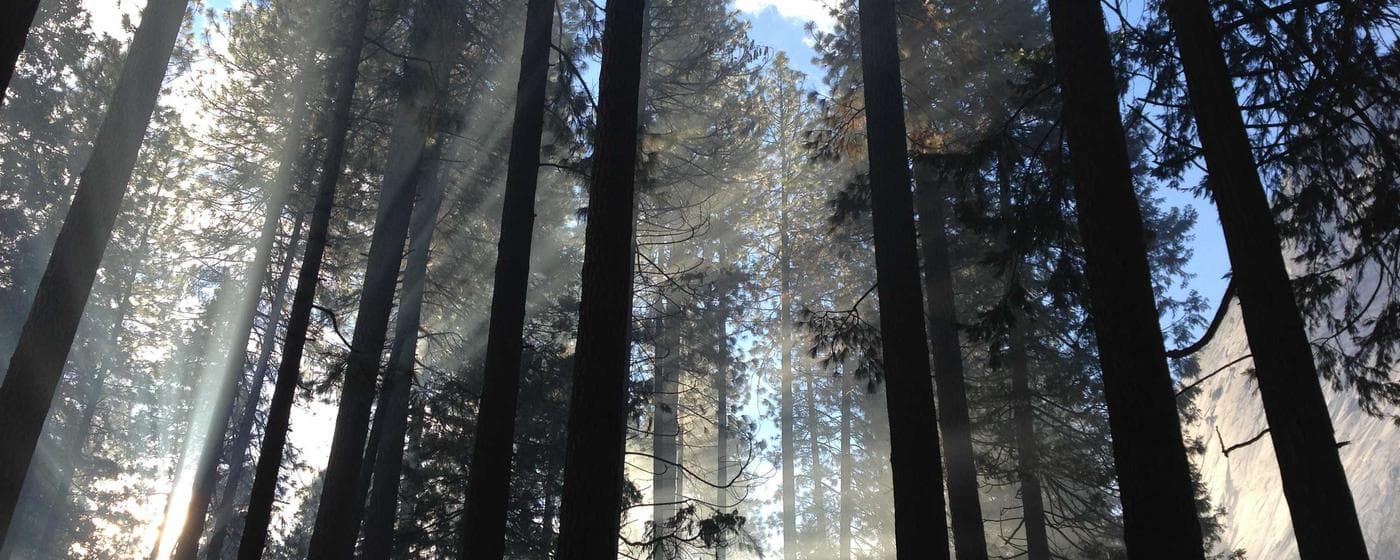 Funeral Homes in Manlius, New York: Services, Costs & Reviews (2026) hero image