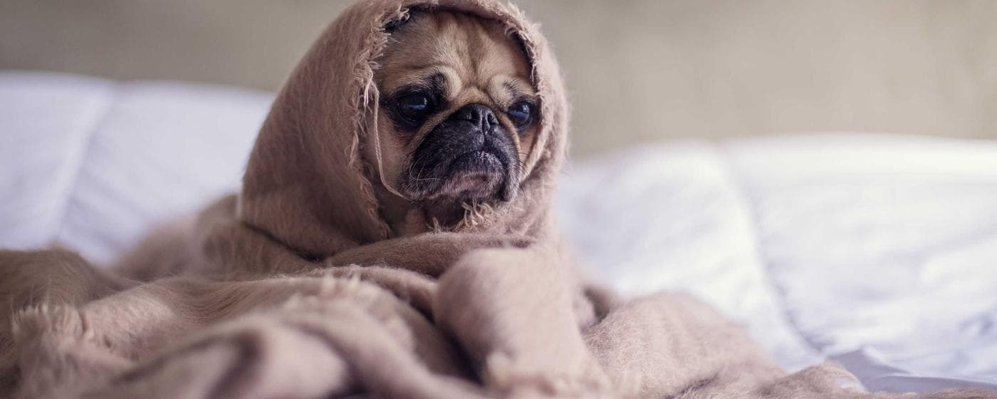 Funeral Homes in Marlin, Texas: Services, Costs & Reviews (2026) hero image