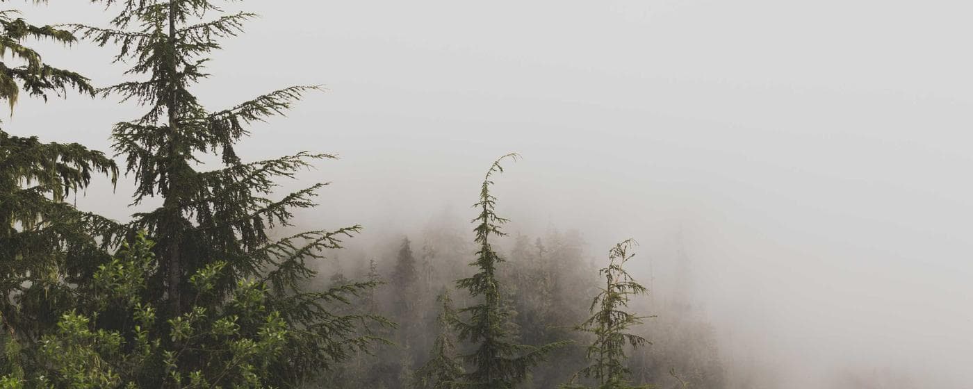 Funeral Homes in Marshalltown, Iowa: Services, Costs & Reviews (2026) hero image