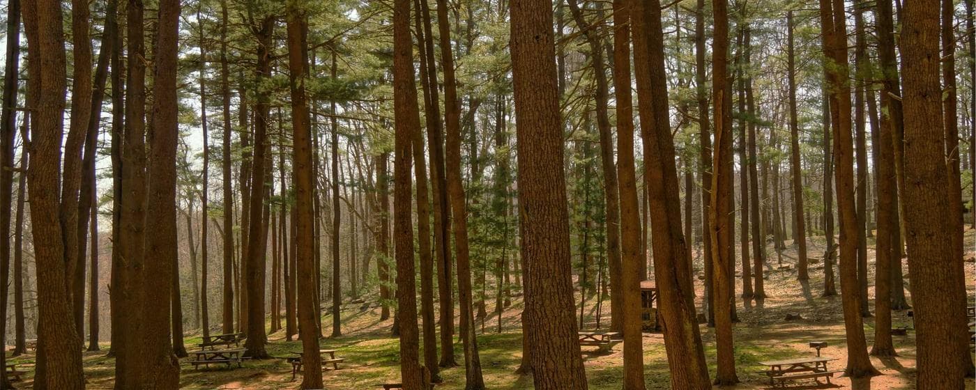 Funeral Homes in Morristown, New Jersey: Services, Costs & Reviews (2026) hero image