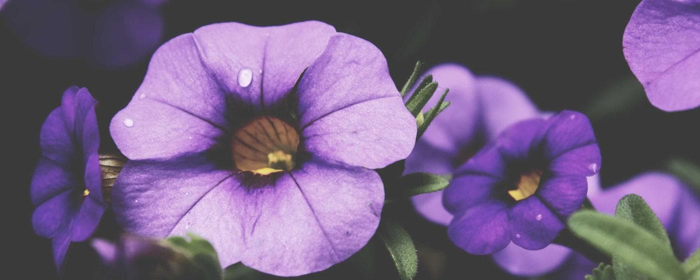 Funeral Homes in Mount Washington, Kentucky: Services, Costs & Reviews (2026) hero image