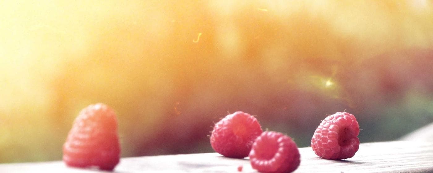 Funeral Homes in New Hampton, Iowa: Services, Costs & Reviews (2026) hero image