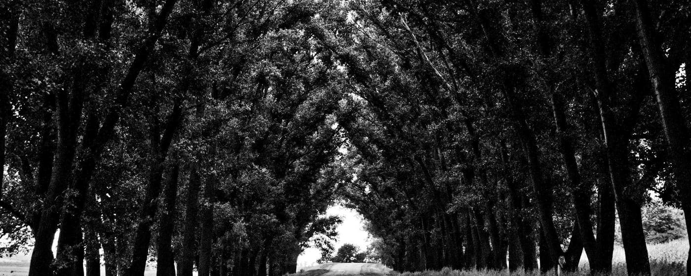 Funeral Homes in Newburyport, Massachusetts: Services, Costs & Reviews (2026) hero image