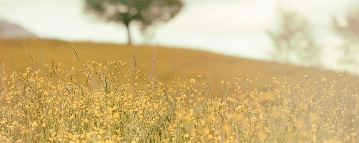 Funeral Homes in Norfolk, Nebraska: Services, Costs & Reviews (2026) hero image