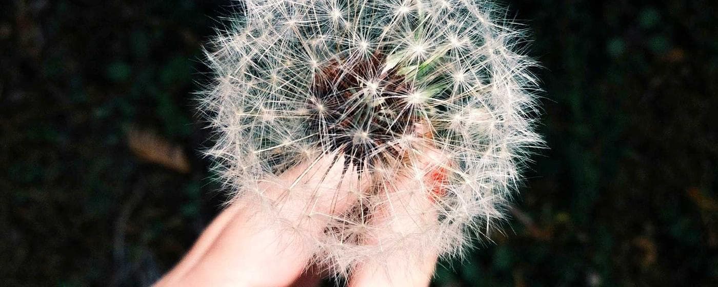 Funeral Homes in Norwood, Ohio: Services, Costs & Reviews (2026) hero image