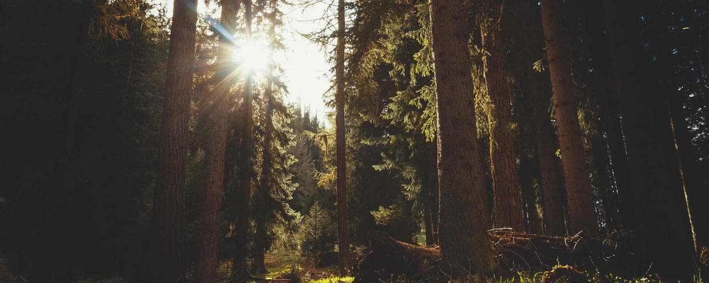 Funeral Homes in Oconto, Wisconsin: Services, Costs & Reviews (2026) hero image