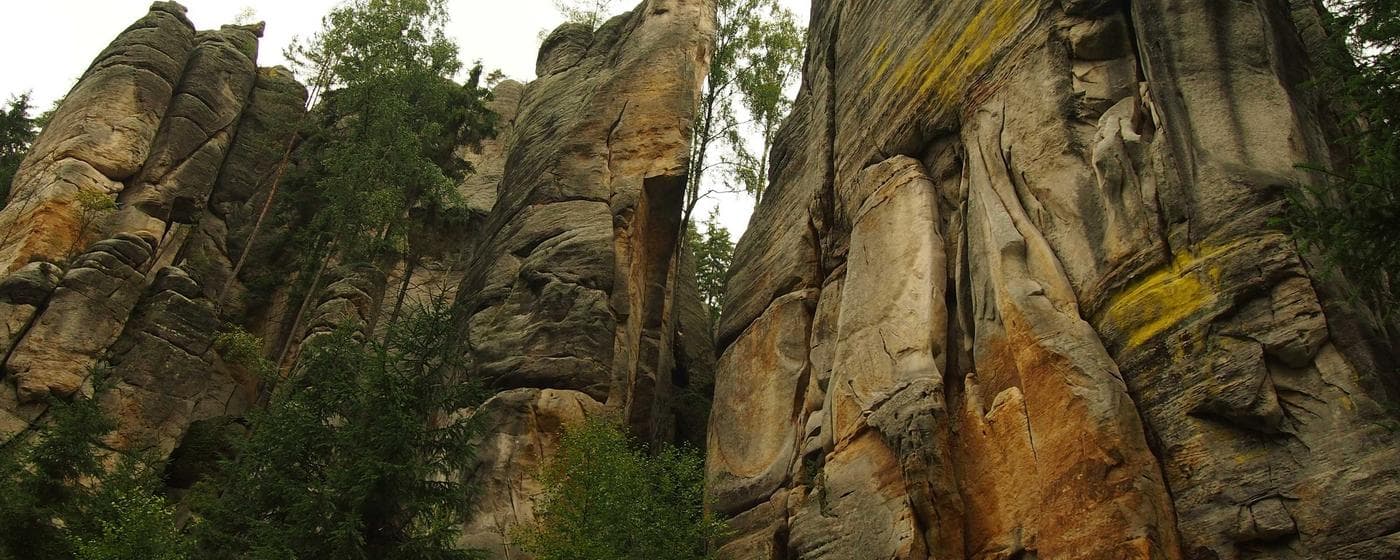 Funeral Homes in Palestine, Texas: Services, Costs & Reviews (2026) hero image