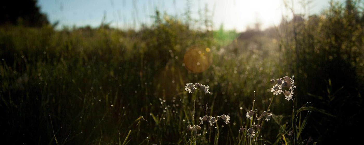 Funeral Homes in Park Forest, Illinois: Services, Costs & Reviews (2026) hero image